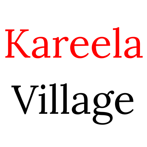 Kareela village logo