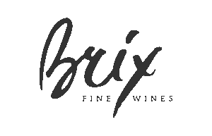 Brix logo tagline